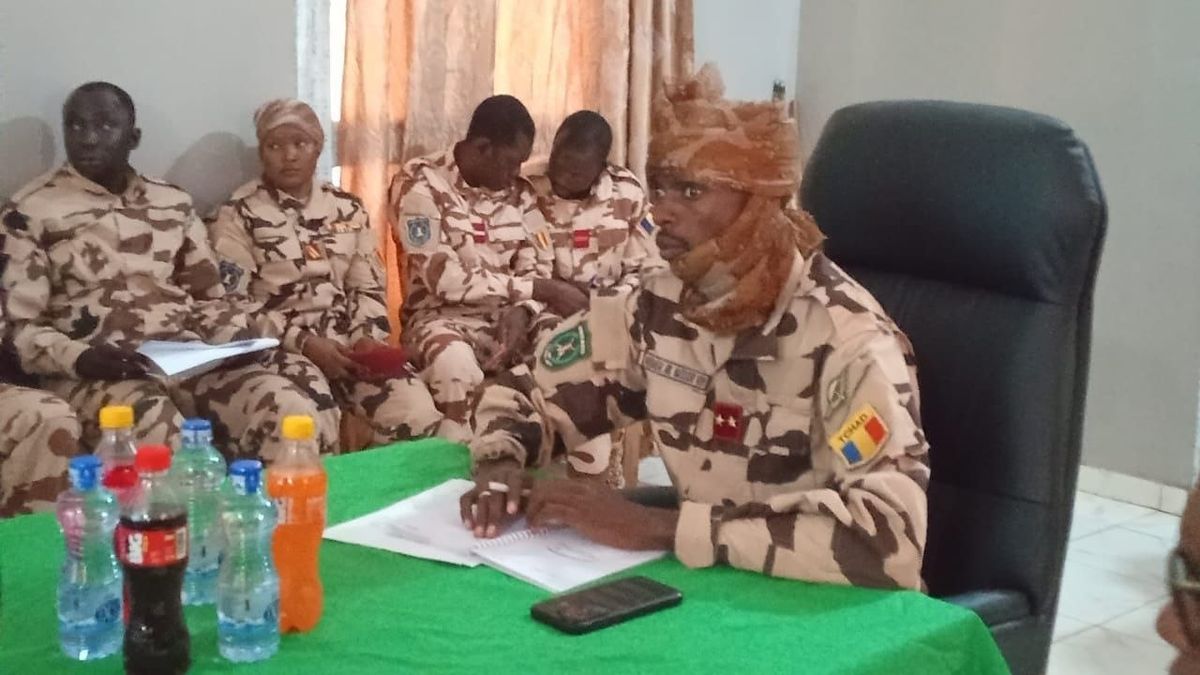 Renforcement des forces mixtes Tchad-RCA à la frontière