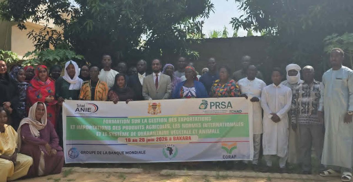 Formation des acteurs agricoles du Tchad pour dynamiser les exportations