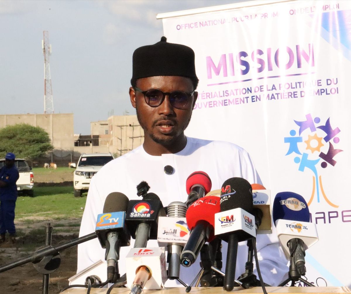 Jeunes tchadiens formés aux métiers verts à N'Djamena